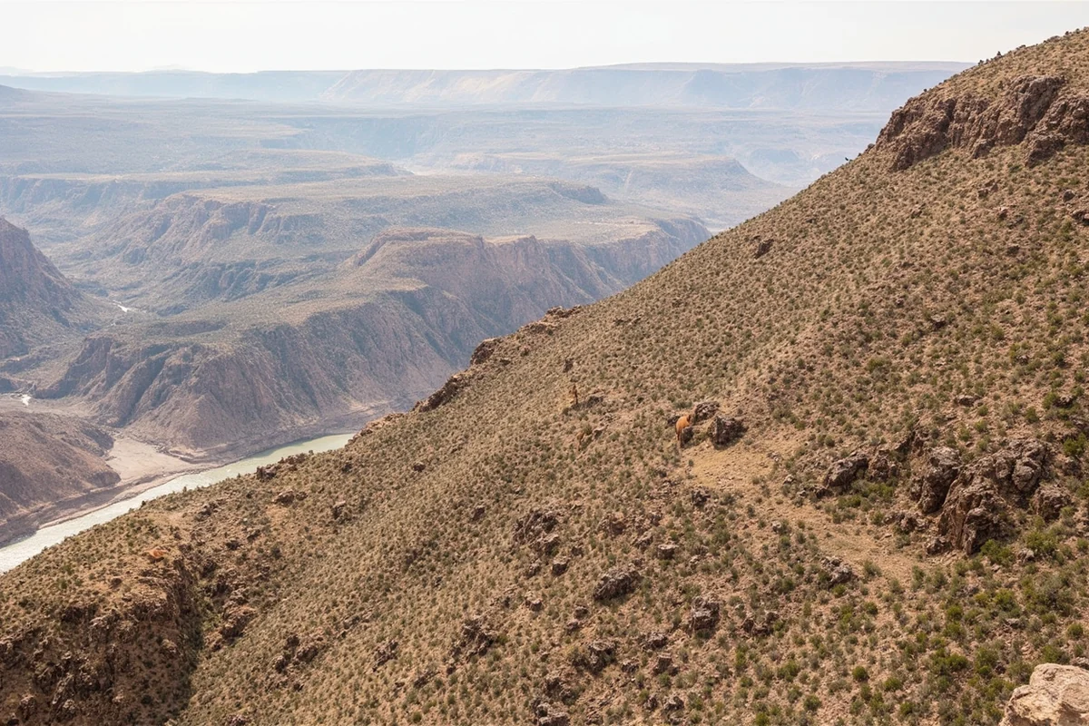 Rugged Missouri River Breaks landscape with multiple mule deer visible on hillside