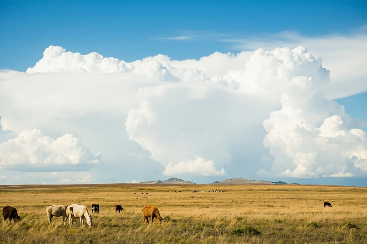 Rural Montana ranch landscape with big sky