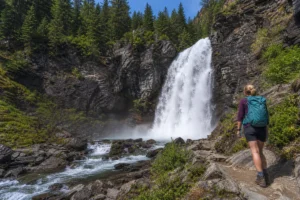 Read more about the article Salamander Falls Montana: Your Complete Hiking Guide