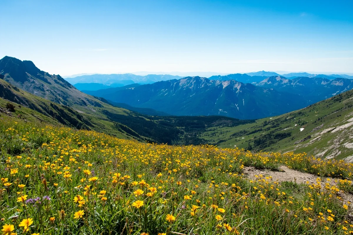 Scenic view from Skalkaho Pass summit showing mountain ranges and wildflower meadows