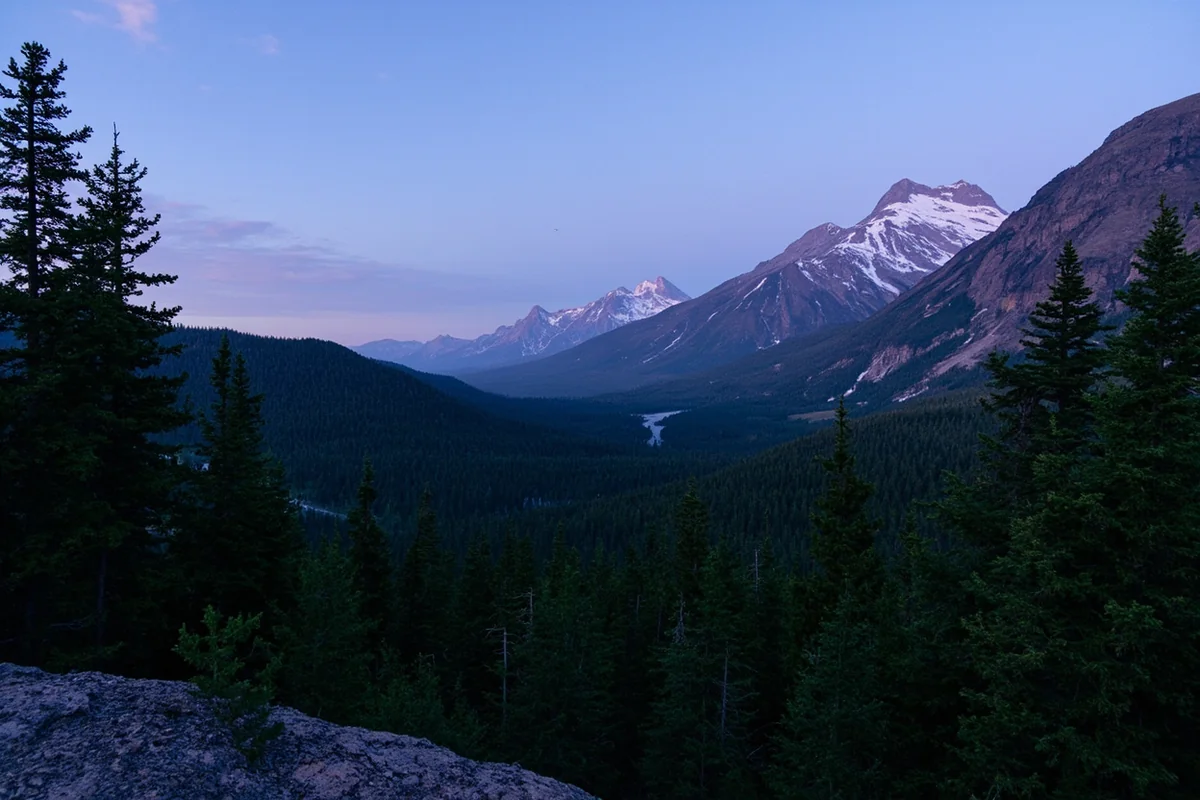Scenic view of Glacier National Park's west side forest habitat at dusk