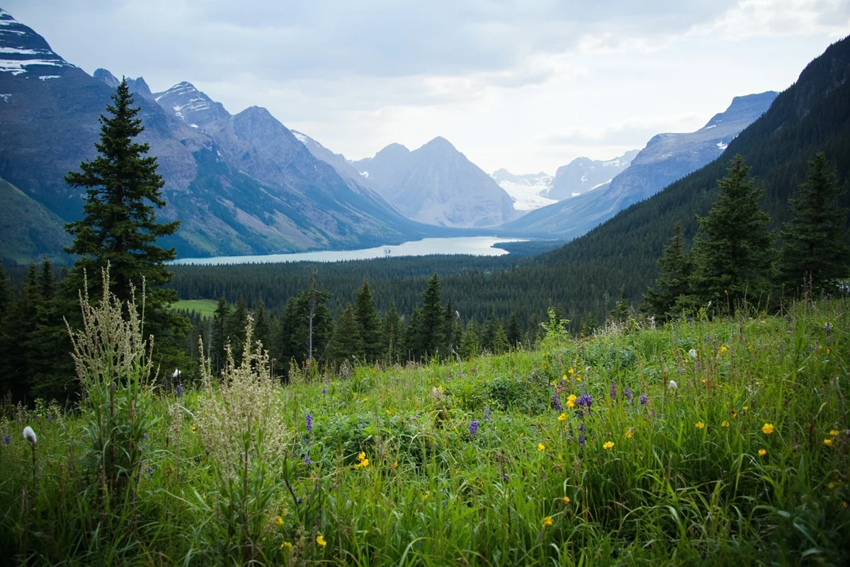 Scenic view of Many Glacier Valley with meadow habitat