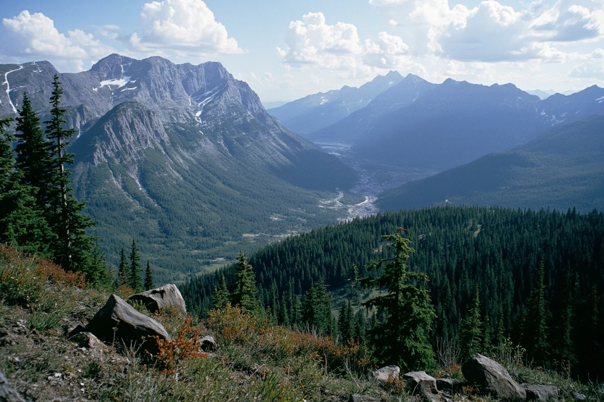 Scenic view of the Cabinet-Yaak Wilderness, showing remote mountain terrain