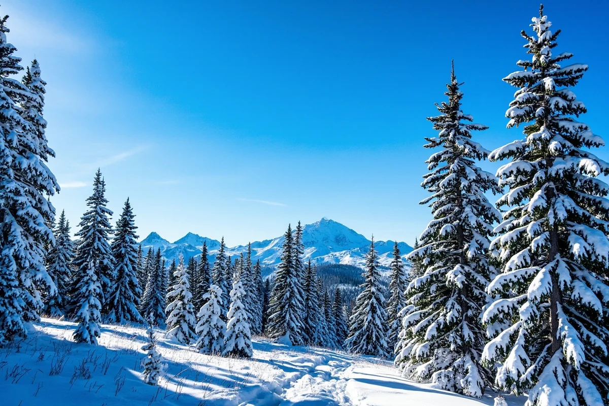 Snow-covered pines with Big Sky's Lone Peak visible in background under blue sky