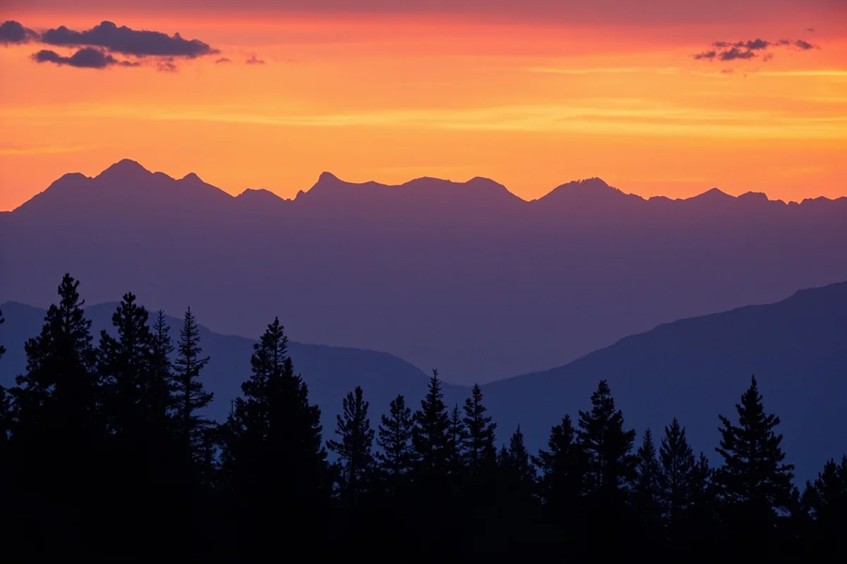 Sunset over Montana mountains with silhouetted pine trees