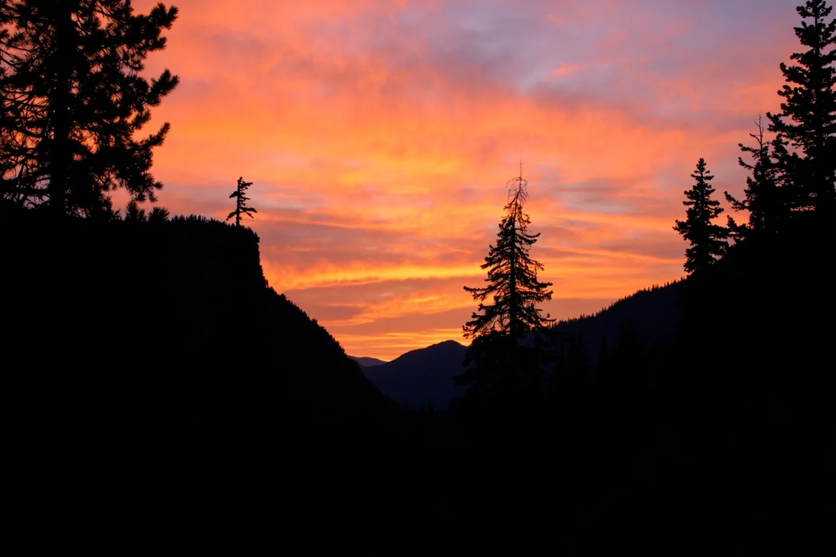 Sunset view from Paradise Falls trail with silhouetted evergreens