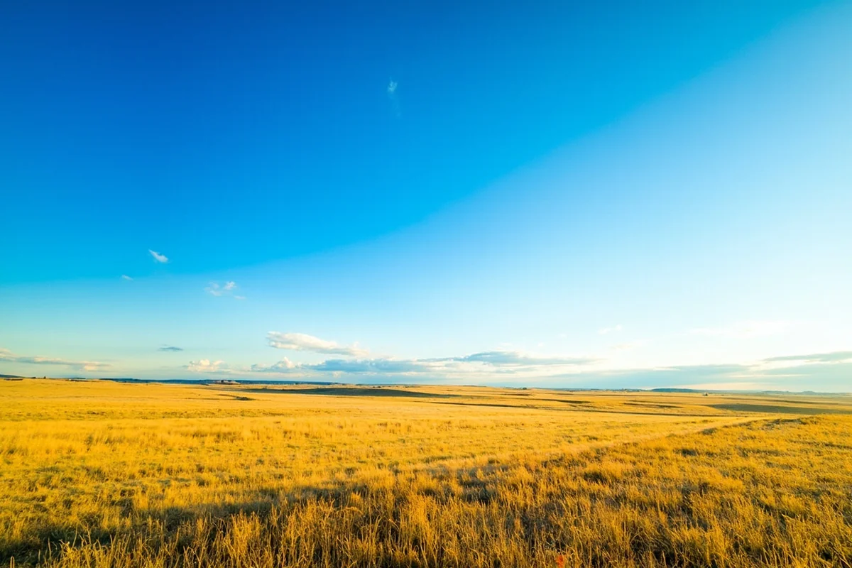 Sweeping panoramic view of Montana's Big Sky Country with endless blue sky above golden prairie grasslands