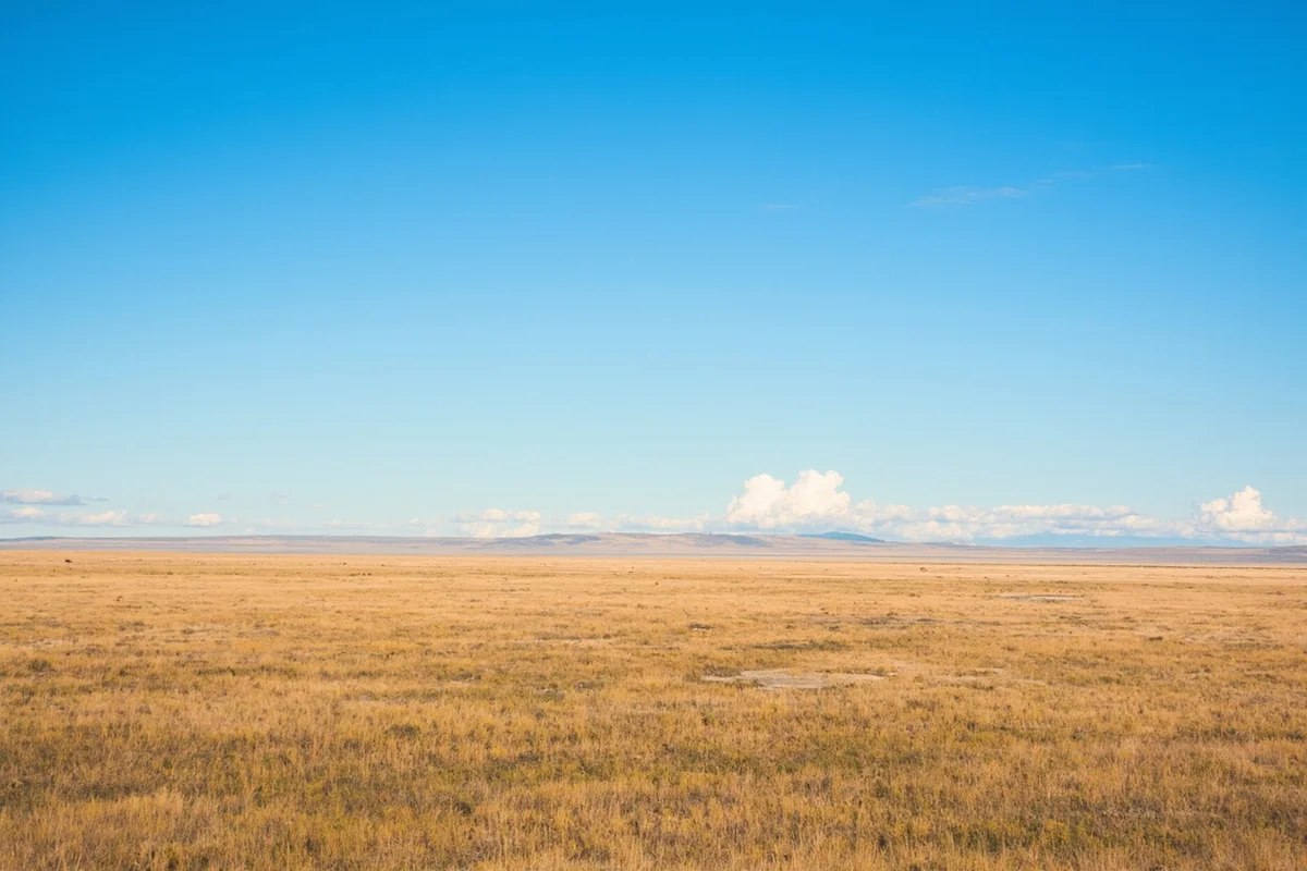Sweeping vista of Montana plains under clear blue sky with minimal cloud cover, demonstrating the dry climate