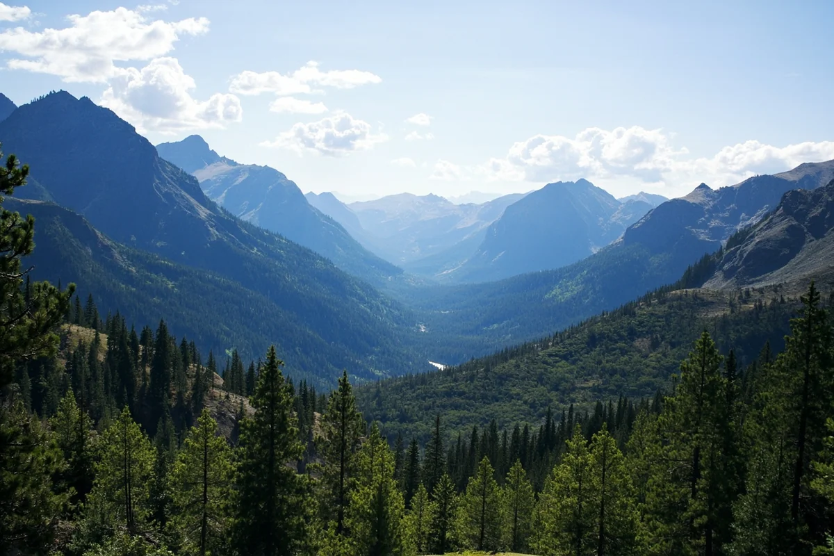 The Continental Divide as seen from Rogers Pass, showing the mountainous terrain that blocks tropical moisture from reaching Montana