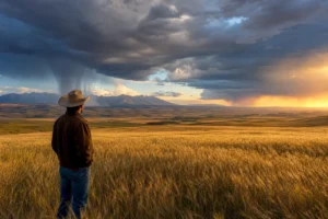 Read more about the article Unique Big Sky Country: What Makes Montana Different
