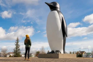 Read more about the article 25 Weird & Unusual Things to See in Montana (2026)