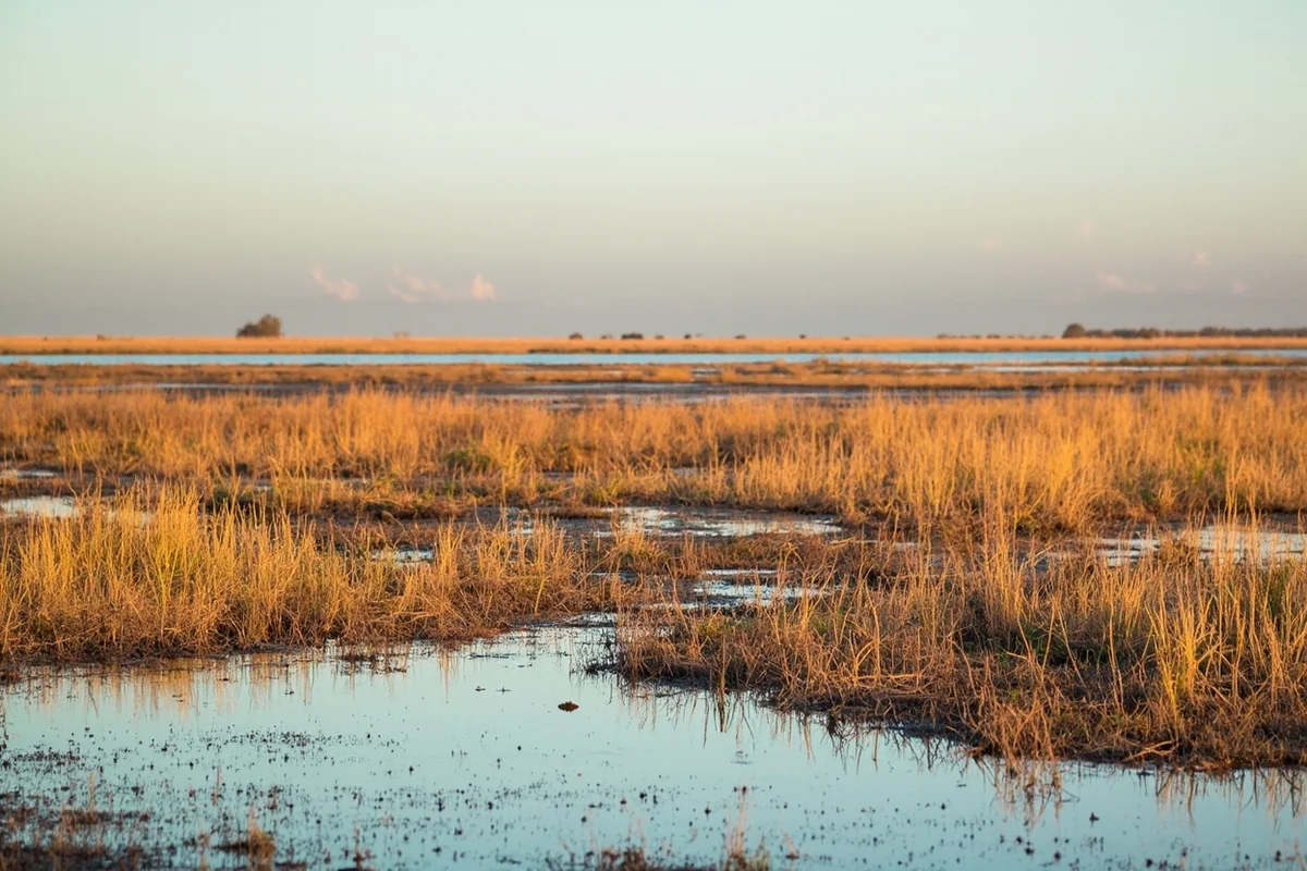 Wetland habitat in Charles M. Russell National Wildlife Refuge during fall migration