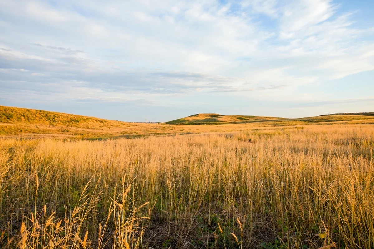 Wide-angle shot of Black Coulee Wildlife Refuge's rolling prairie landscape with native grasses