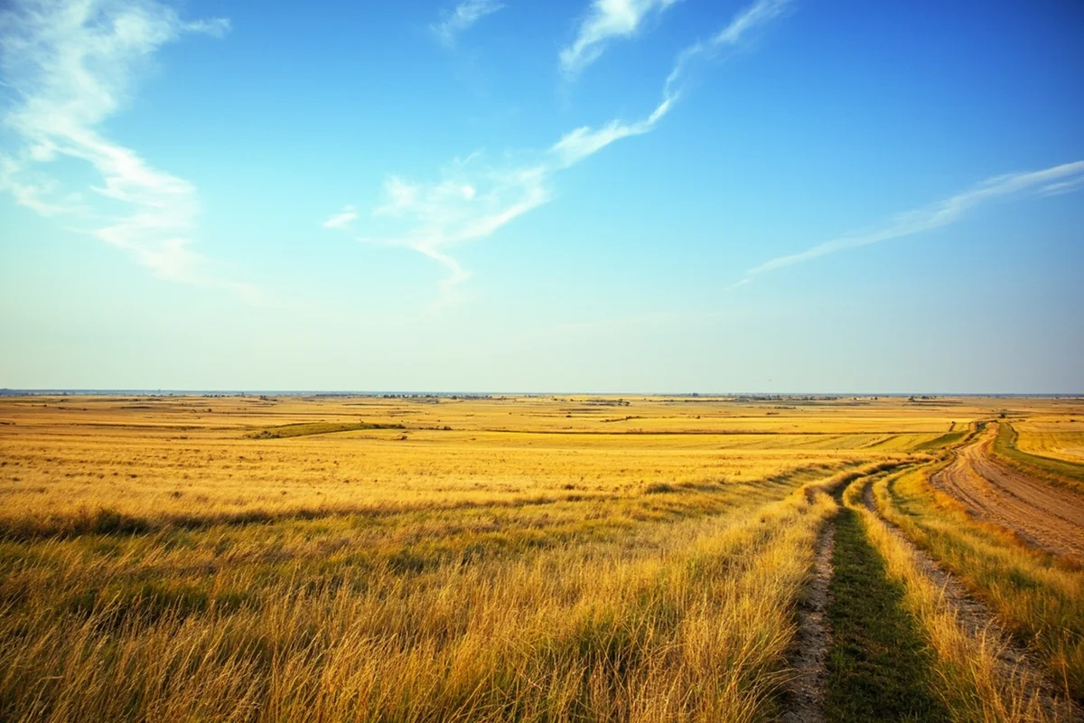 Wide landscape shot showing the Montana-North Dakota border with prairie grasslands stretching to the horizon