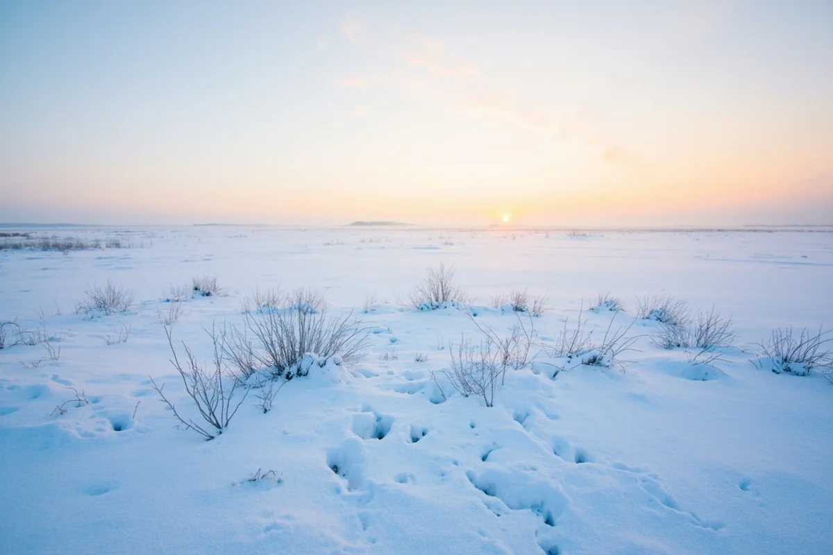 Winter scene in eastern Montana showing snow-covered prairie with -20F temperature display