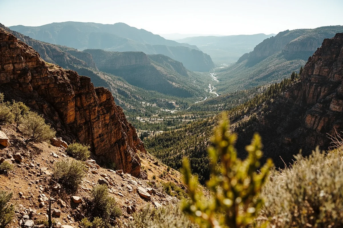 Yogo Gulch landscape showing the terrain of the historic mining area in Judith Basin County