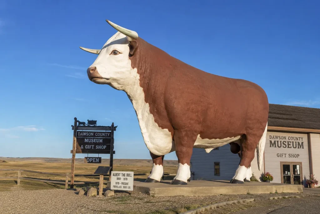 Steer Montana fiberglass giant steer outside O'Fallon Historical Museum in Baker Montana
