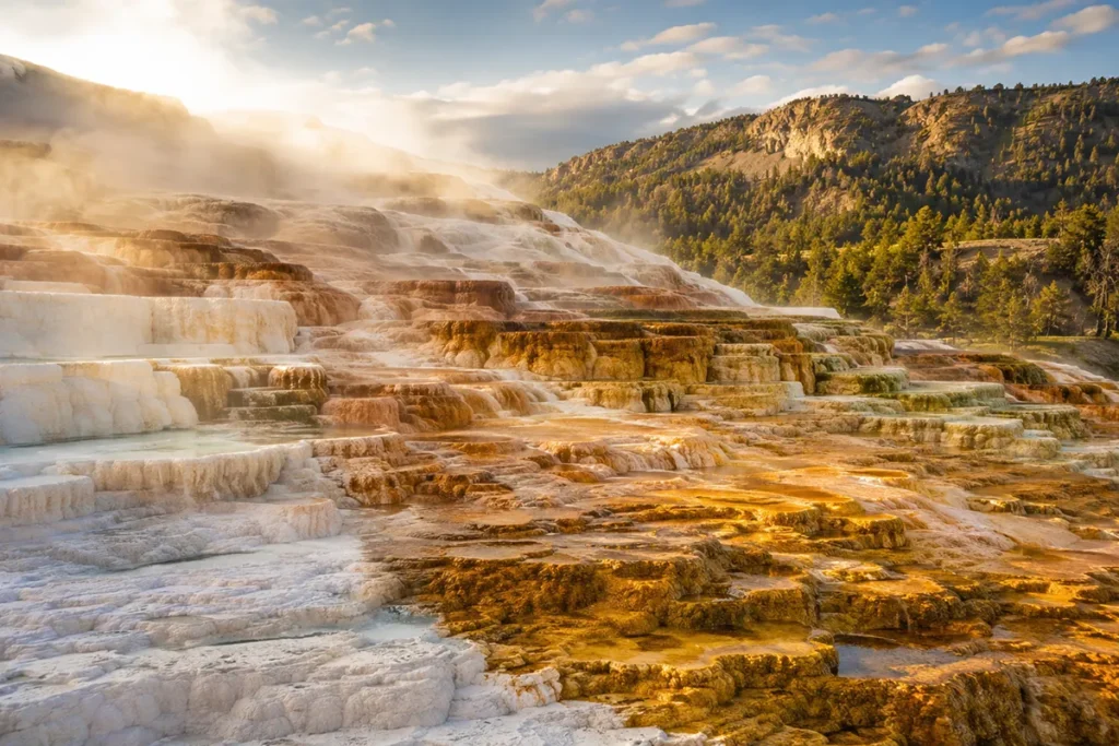 Mammoth Hot Springs terraces in Yellowstone National Park near the Montana entrance, with travertine formations in white, orange, and brown tones