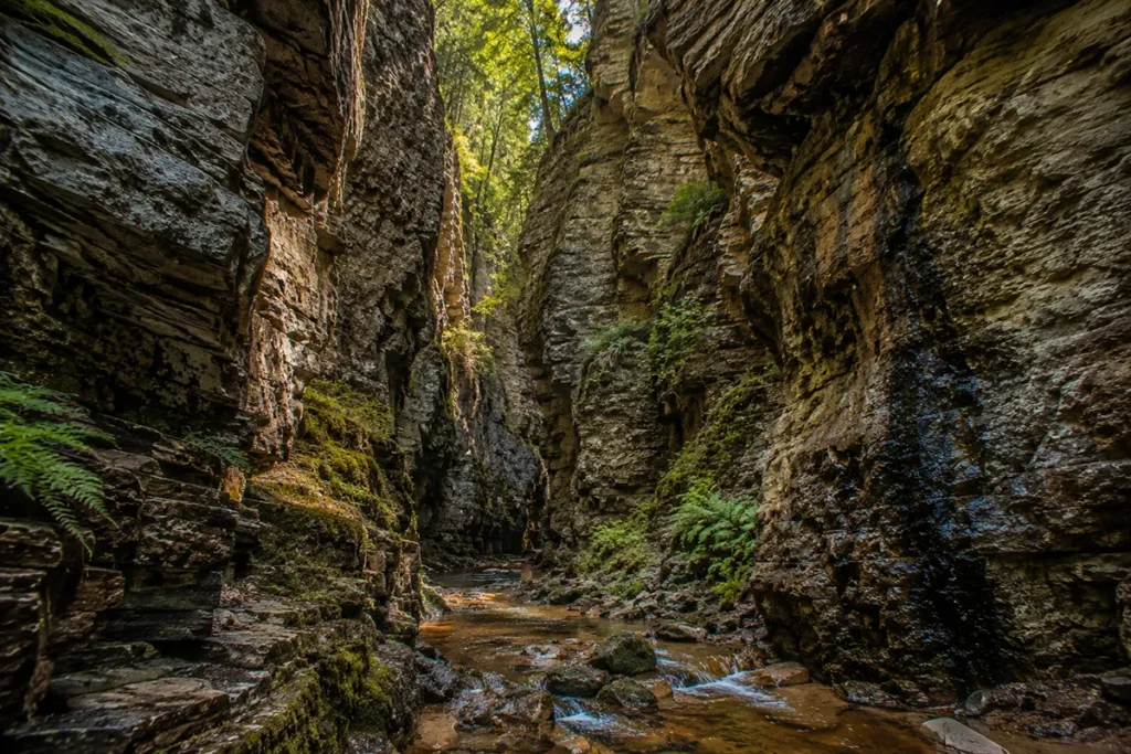 Narrow slot canyon with vertical limestone walls in Refrigerator Canyon, Big Belt Mountains