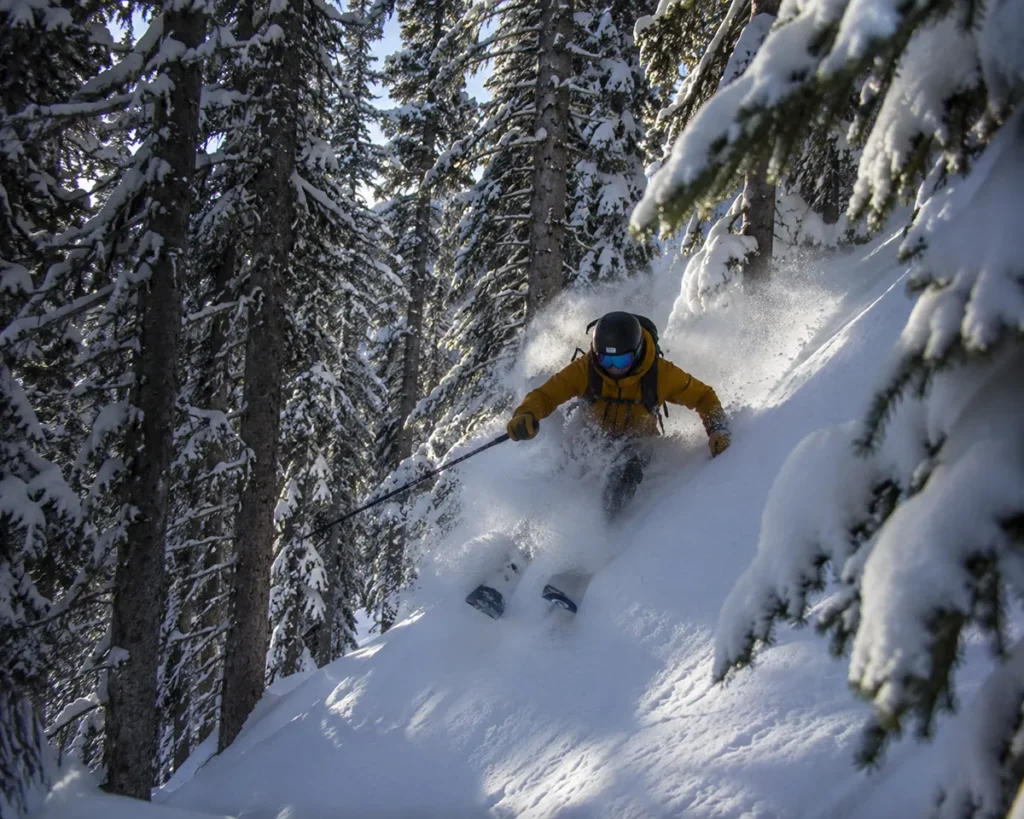 A skier dropping into a steep tree-skiing line in Hellroaring Basin at Whitefish Mountain Resort with fresh powder spraying from skis