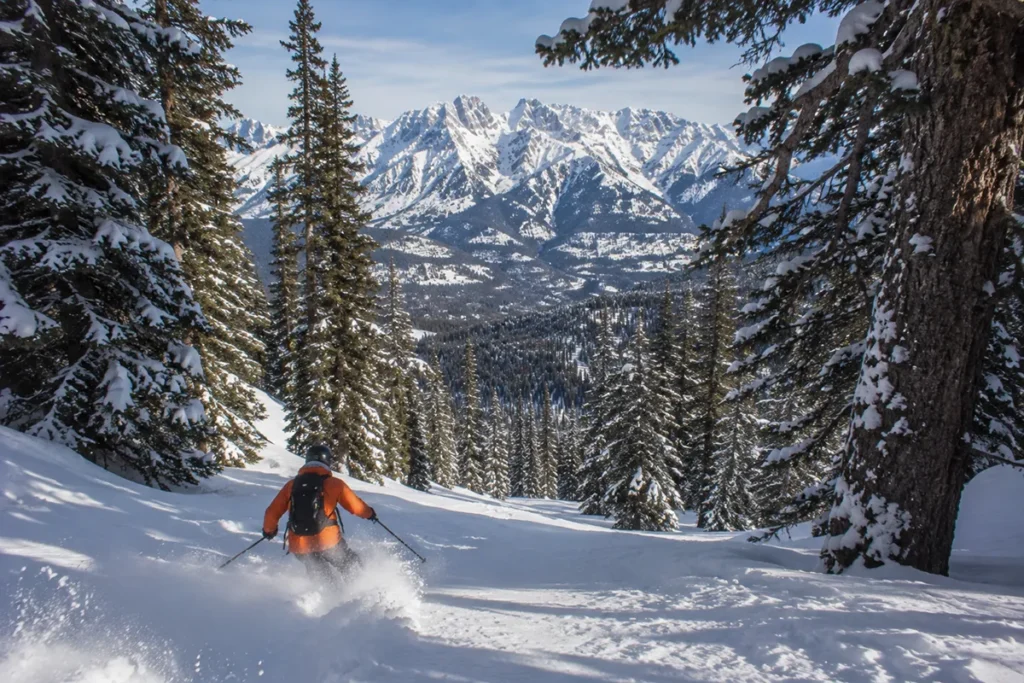 A skier dropping into a tree-skiing line at Maverick Mountain with the Pioneer Mountains visible in the distance and fresh powder spraying from skis