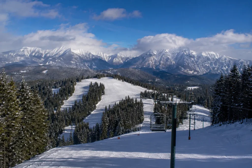 Turner Mountain Ski Area near Libby Montana showing uncrowded ski runs through forested terrain