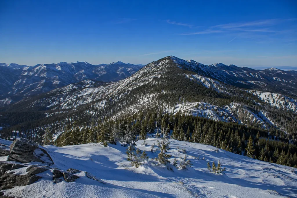 View from the summit of Showdown Montana ski area looking out across the snow-covered Little Belt Mountains with the dense conifer forests of the Lewis and Clark National Forest stretching to the horizon