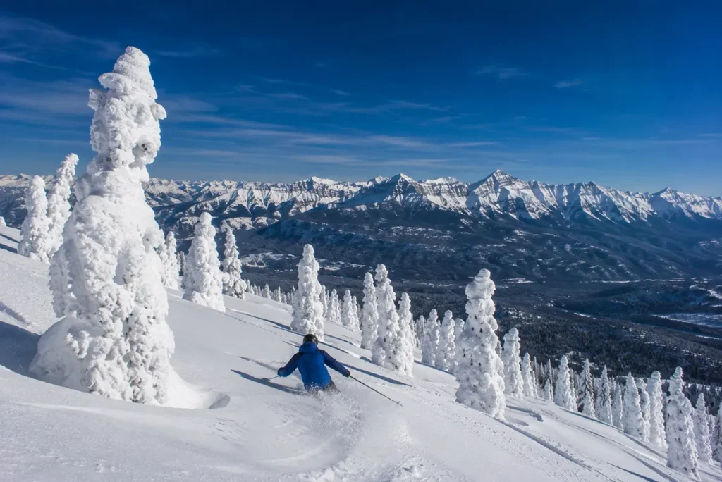 Skier carving past snow-encrusted trees called snow ghosts at Whitefish Mountain Resort on a cold blue-sky day with the jagged peaks of Glacier National Park visible in the distance