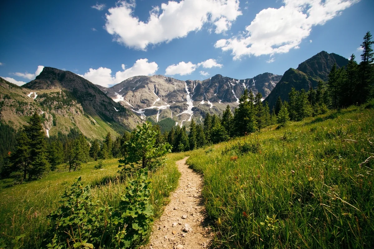 Hiking trail through alpine meadow in the Anaconda-Pintler Wilderness area near Powell County