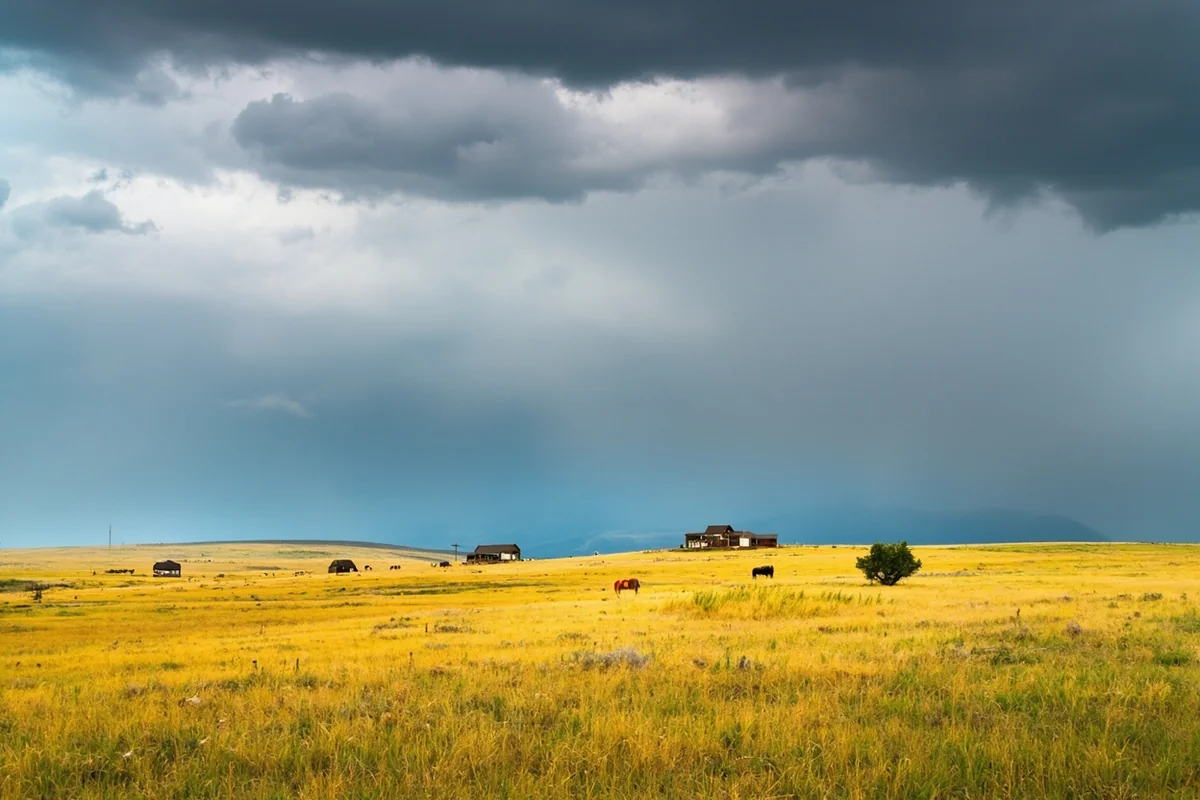 Hill County prairie in summer with golden grass, scattered ranch buildings, and dramatic storm clouds building overhead
