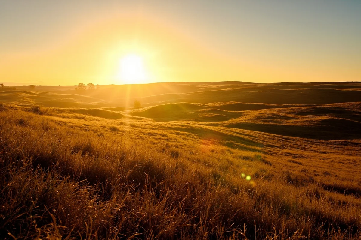 Late afternoon light raking across rolling prairie with long shadows and golden grass