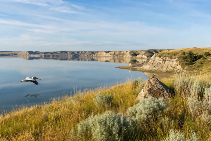 mccone county featured - McCone County, Montana: A Complete Visitor's Guide