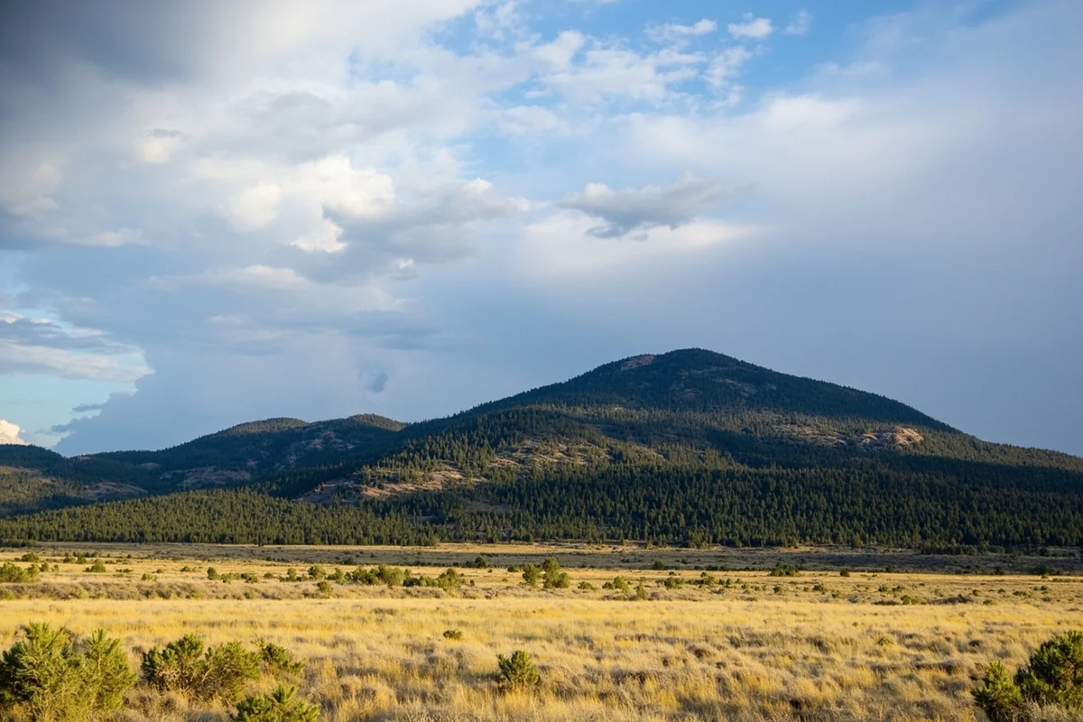 Pine-covered buttes of the Bull Mountains rising from prairie grassland under dramatic cloud formations