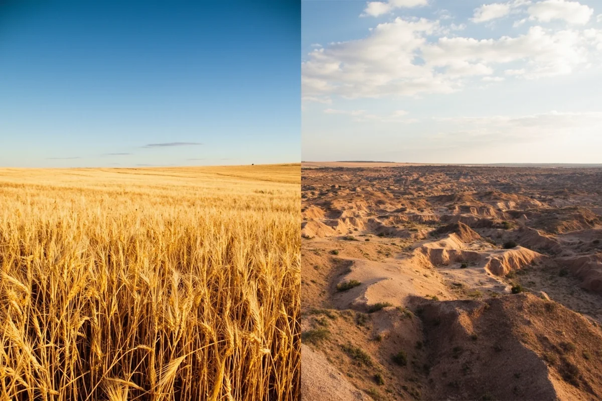 Side-by-side landscape comparison showing Wheatland County's open wheat fields versus the dramatic badlands terrain of a neighbouring county