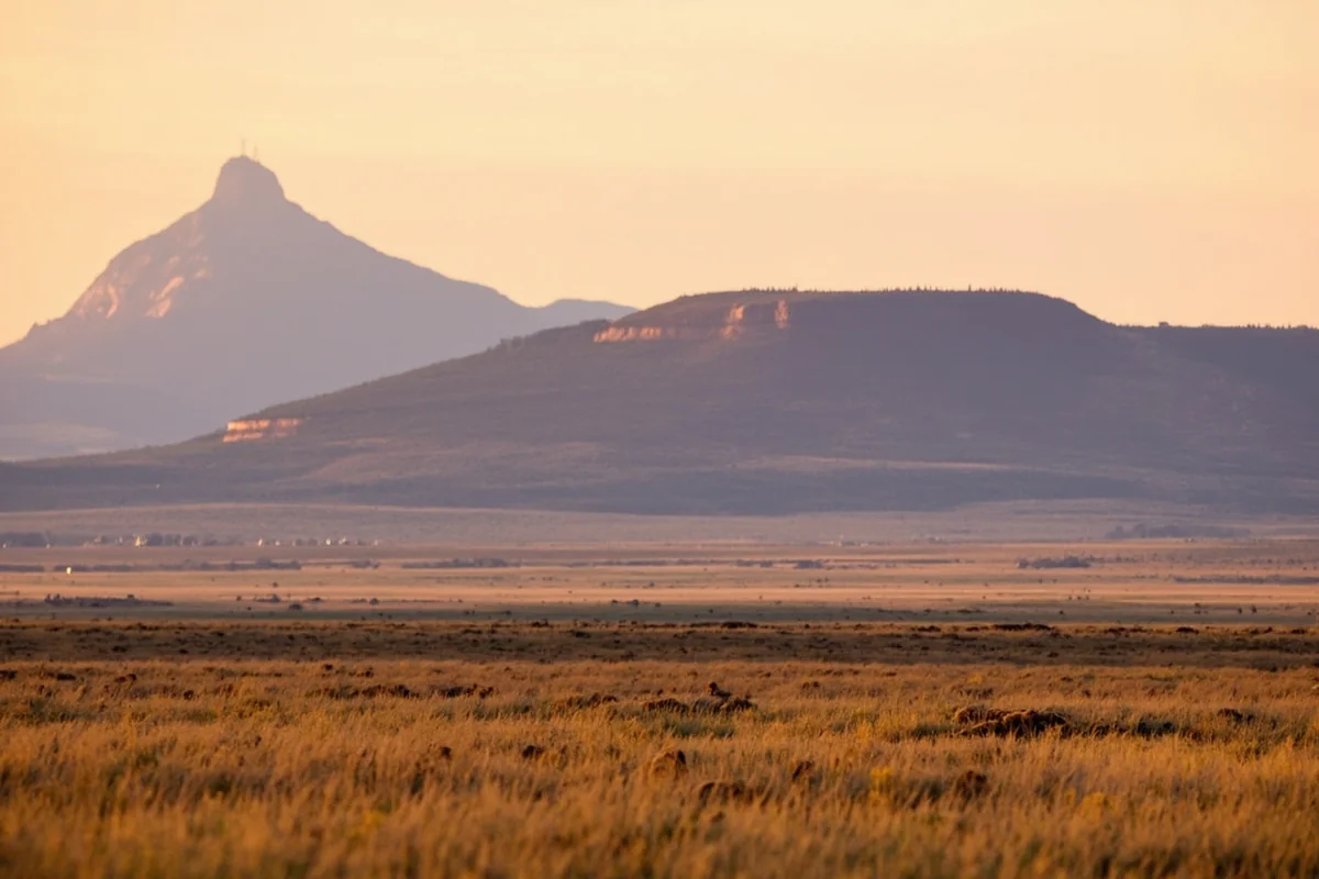 Sweetgrass Hills East Butte rising from Montana prairie at golden hour, pronghorn visible in the foreground grassland