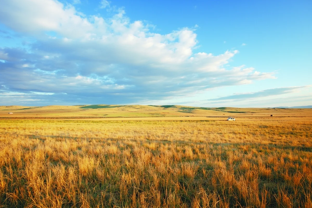 Wide-angle view of Golden Valley County's rolling prairie landscape with distant buttes and big sky overhead