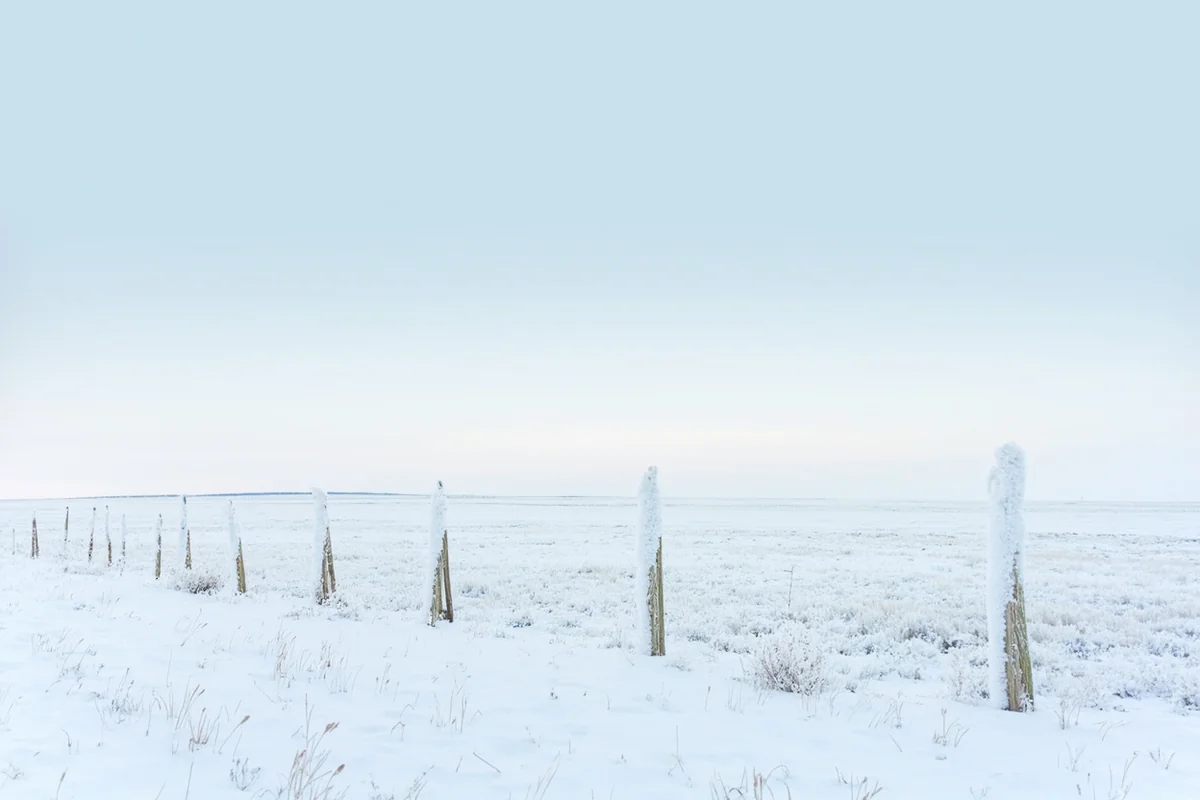 winter landscape in Roosevelt County showing snow-covered prairie with frost-covered fence posts and a pale blue sky