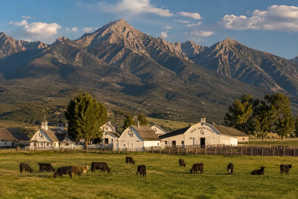 Bitterroot Valley view from Chief Joseph Ranch Montana showing the sweeping pastures the Rocking Y white barns and the mountains behind