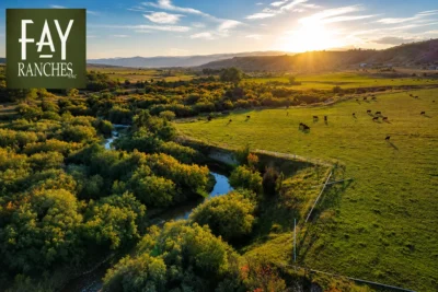 Fay Ranches Montana - Fay Ranches Montana: Ranch Real Estate Guide (2026)