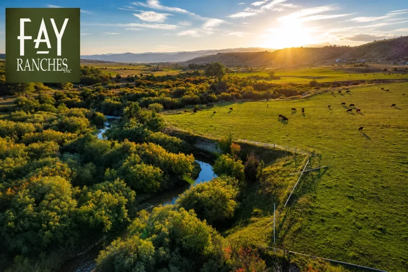 Fay Ranches Montana - Fay Ranches Montana: Ranch Real Estate Guide (2026)
