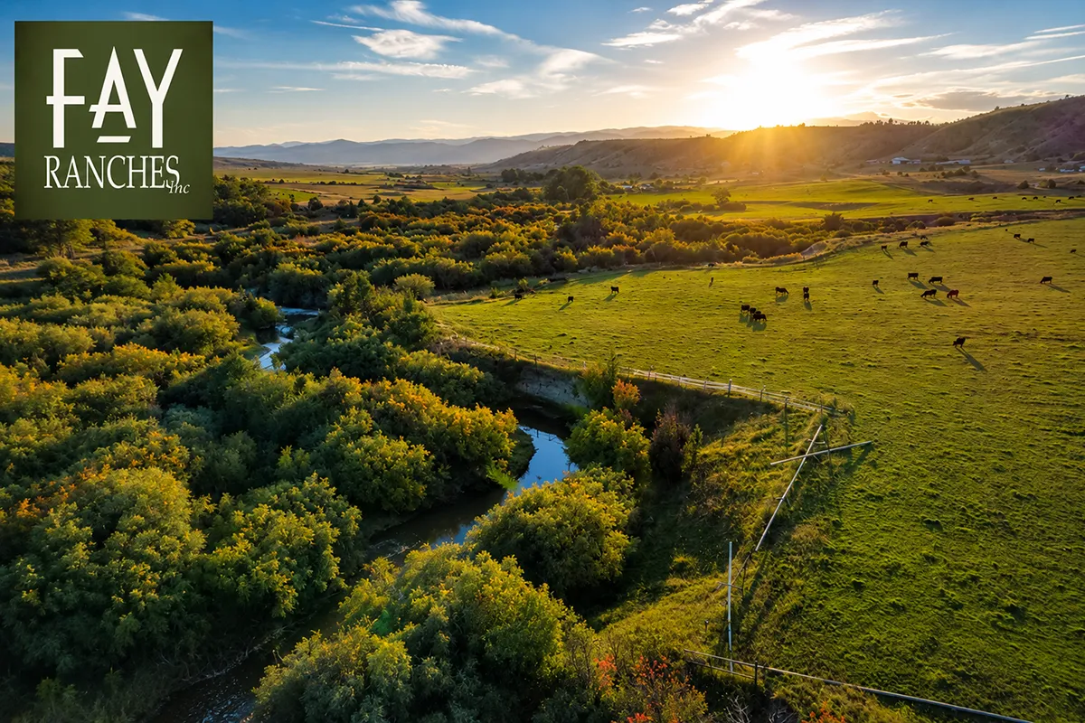 Fay Ranches Montana: Ranch Real Estate Guide (2026)