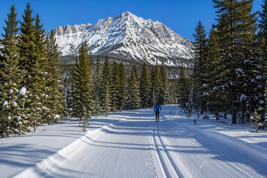Lone Mountain Ranch Nordic cross country ski trails near Big Sky Montana showing groomed tracks through pine forest with Lone Peak visible