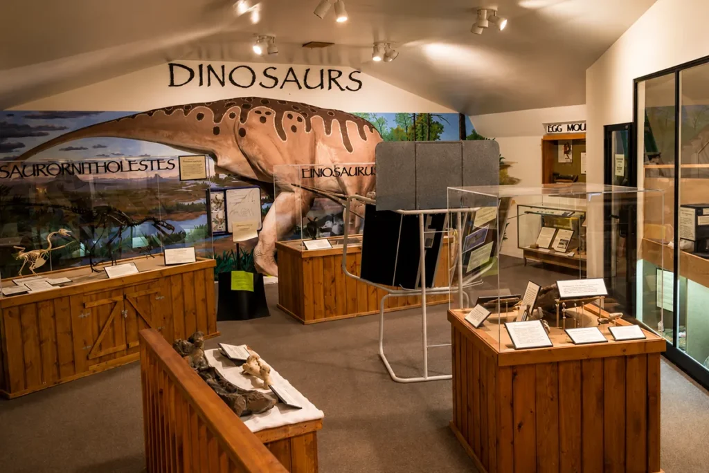 Life-size Maiasaura dinosaur skeleton display at Old Trail Museum in Choteau, Montana