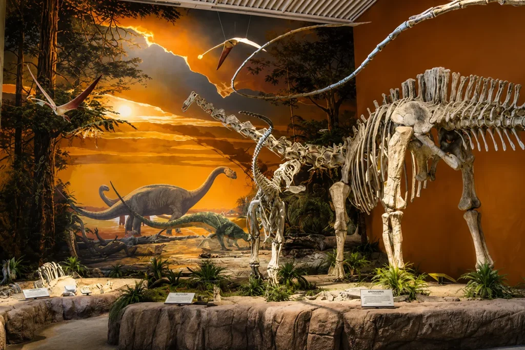 Seismosaurus skeleton sculpture suspended from the ceiling at Two Medicine Dinosaur Center