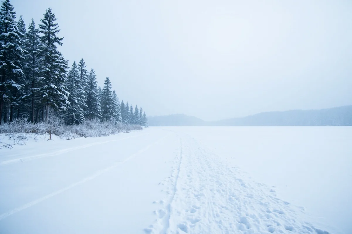 Cross-country ski tracks along the frozen shoreline of Seeley Lake in winter