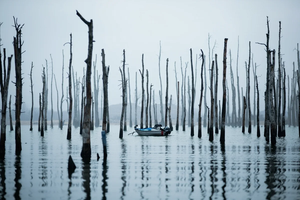 Dead standing trees rising from the still water of Quake Lake with a small fishing boat nearby