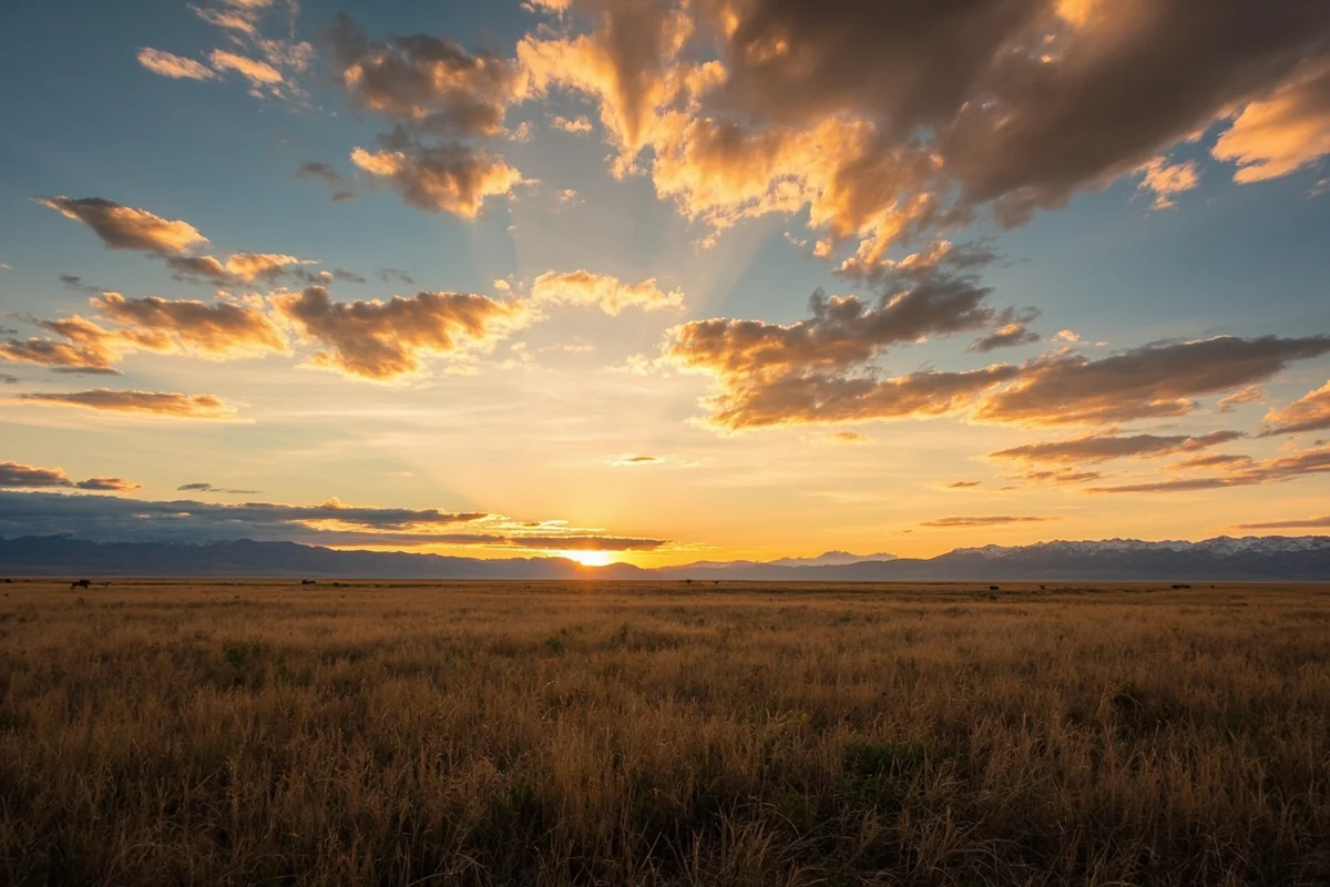 Open prairie flats surrounding Freezeout Lake in Teton County Montana