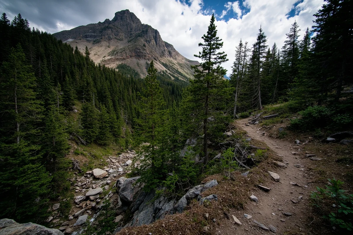Steep forested trail climbing toward Leigh Lake in the Cabinet Mountains Wilderness